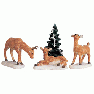 Dad and Fawns, Set of 4